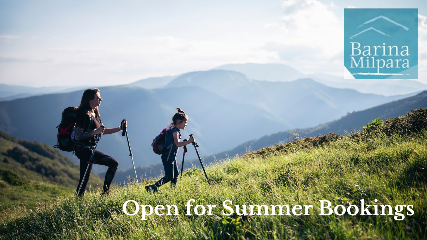 Open for summer bookings image